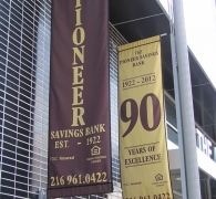 The Pioneer Savings Bank